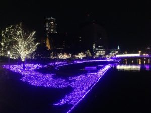 紫川ライトアップ